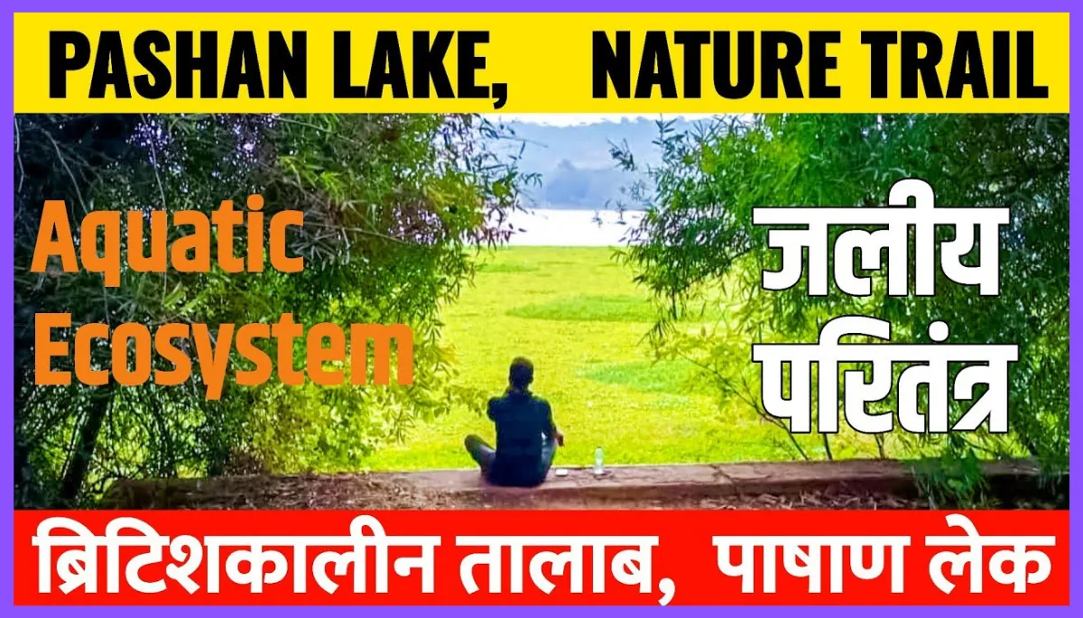 Pashan Lake Pune Timings, Entry Fee, Ticket Cost Price; Pashan Lake Opening & Closing Time, Holidays & Phone Number